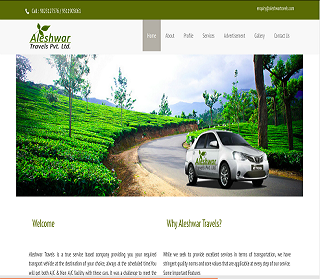 Aleshwar Travels Website Design