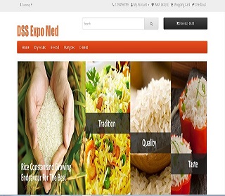 DSS Expo website design
