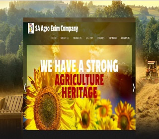 SA Agro Exim Company website design