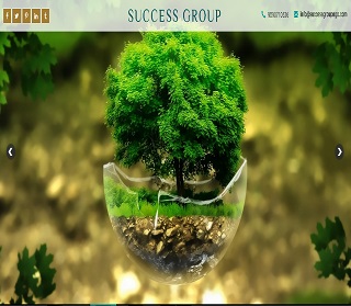 Success Group Website Design